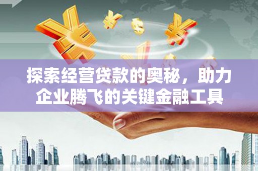 泰山探索经营贷款的奥秘，助力企业腾飞的关键金融工具
