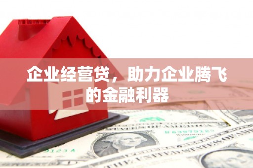 泰山企业经营贷，助力企业腾飞的金融利器