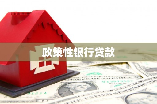 泰山政策性银行贷款