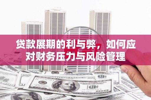 泰山贷款展期的利与弊，如何应对财务压力与风险管理