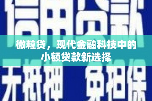 泰山微粒贷，现代金融科技中的小额贷款新选择