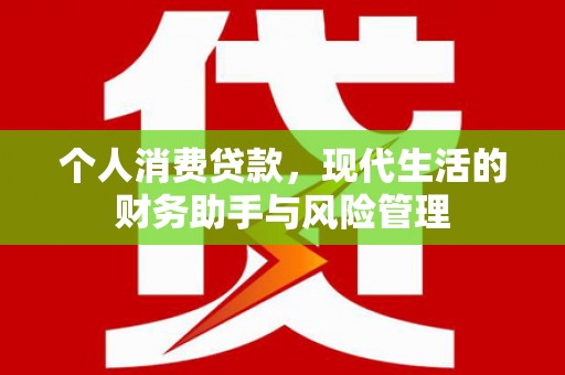 泰山个人消费贷款，现代生活的财务助手与风险管理