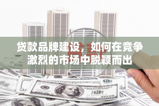 泰山贷款品牌建设，如何在竞争激烈的市场中脱颖而出