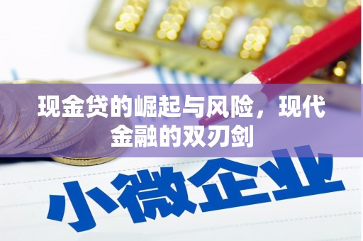 泰山现金贷的崛起与风险，现代金融的双刃剑