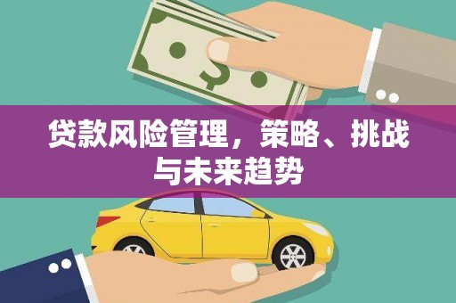 泰山贷款风险管理，策略、挑战与未来趋势
