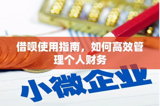 泰山借呗使用指南，如何高效管理个人财务
