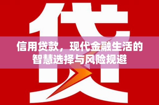 泰山信用贷款，现代金融生活的智慧选择与风险规避