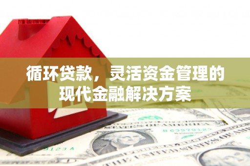 泰山循环贷款，灵活资金管理的现代金融解决方案