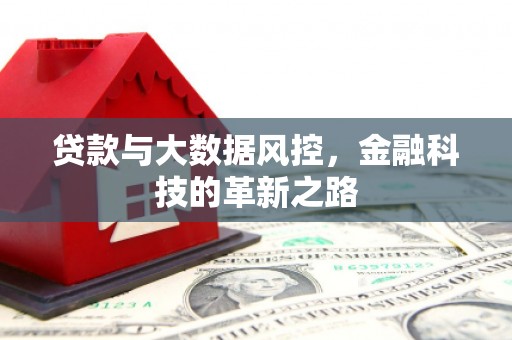 泰山贷款与大数据风控，金融科技的革新之路