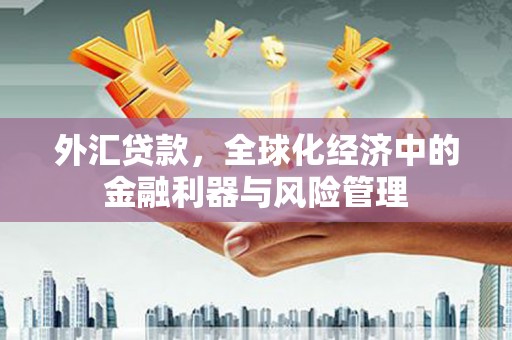 泰山外汇贷款，全球化经济中的金融利器与风险管理