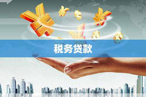 泰山税务贷款