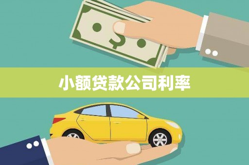 泰山小额贷款公司利率