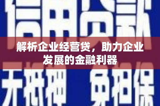 泰山解析企业经营贷，助力企业发展的金融利器