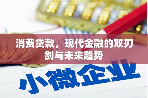泰山消费贷款，现代金融的双刃剑与未来趋势