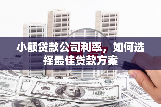 泰山小额贷款公司利率，如何选择最佳贷款方案