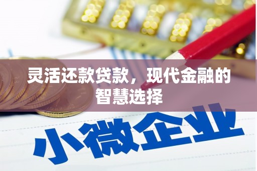泰山灵活还款贷款，现代金融的智慧选择