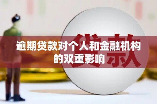 泰山逾期贷款对个人和金融机构的双重影响