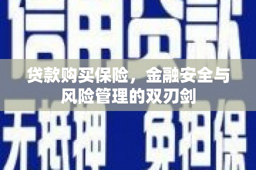泰山贷款购买保险，金融安全与风险管理的双刃剑