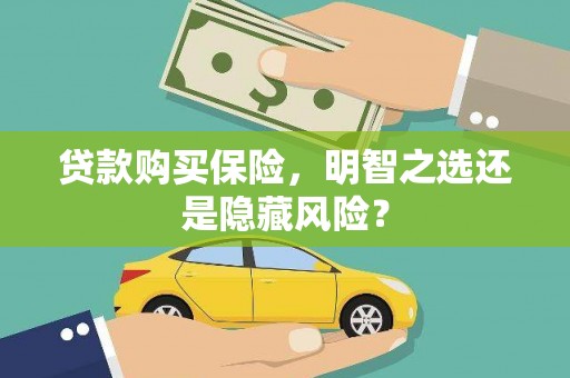泰山贷款购买保险，明智之选还是隐藏风险？