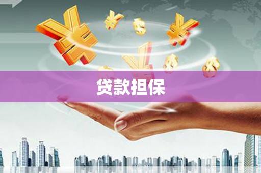 泰山贷款担保