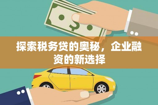 泰山探索税务贷的奥秘，企业融资的新选择