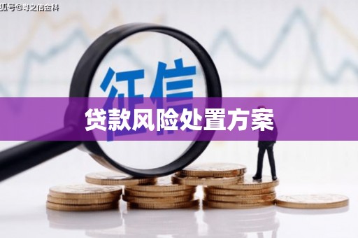 泰山贷款风险处置方案