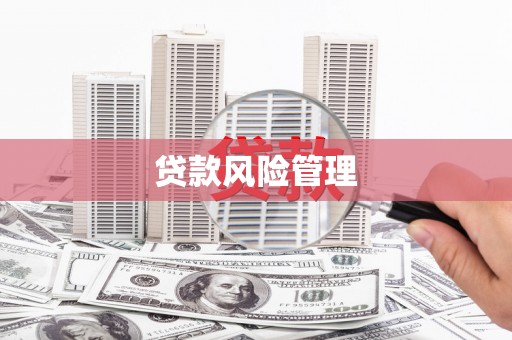 泰山贷款风险管理