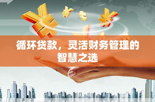 泰山循环贷款，灵活财务管理的智慧之选