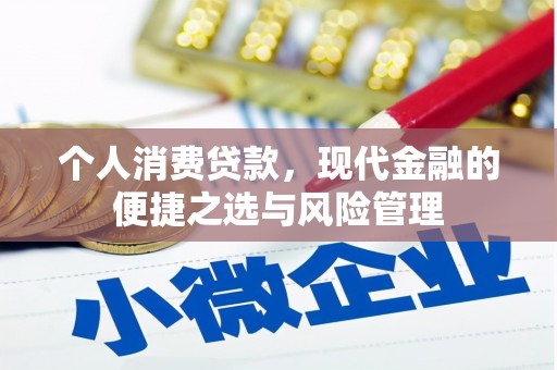 泰山个人消费贷款，现代金融的便捷之选与风险管理