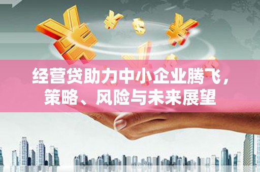 泰山经营贷助力中小企业腾飞，策略、风险与未来展望