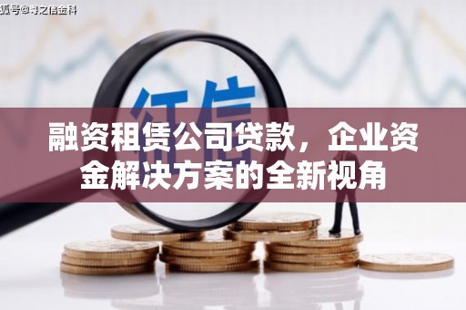 泰山融资租赁公司贷款，企业资金解决方案的全新视角