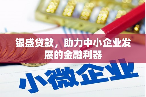 泰山银盛贷款，助力中小企业发展的金融利器
