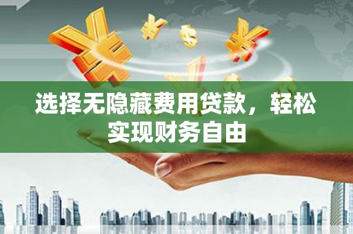 泰山选择无隐藏费用贷款，轻松实现财务自由