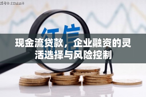 泰山现金流贷款，企业融资的灵活选择与风险控制