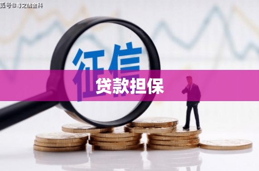 泰山贷款担保