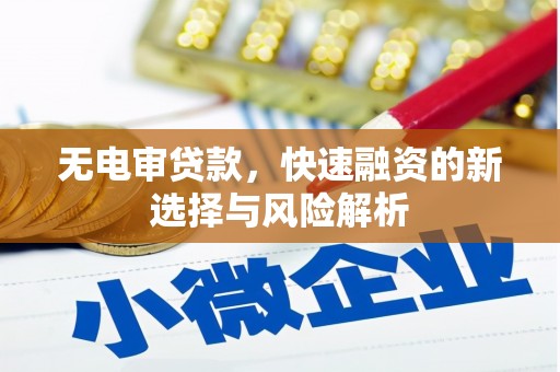 泰山无电审贷款，快速融资的新选择与风险解析