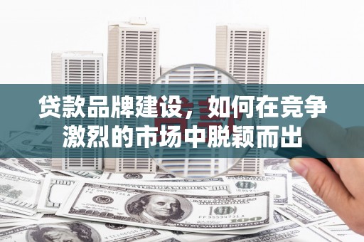 泰山贷款品牌建设，如何在竞争激烈的市场中脱颖而出
