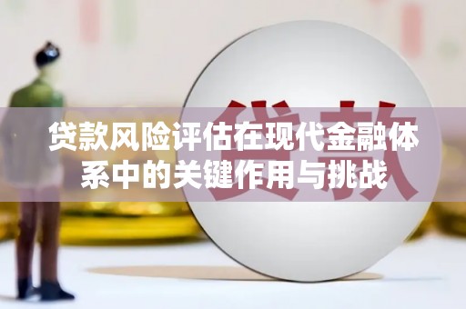 泰山贷款风险评估在现代金融体系中的关键作用与挑战