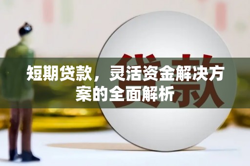 泰山短期贷款，灵活资金解决方案的全面解析