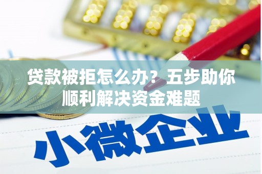 泰山贷款被拒怎么办？五步助你顺利解决资金难题