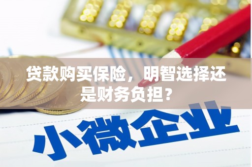 泰山贷款购买保险，明智选择还是财务负担？