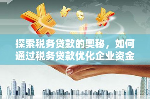 泰山探索税务贷款的奥秘，如何通过税务贷款优化企业资金流
