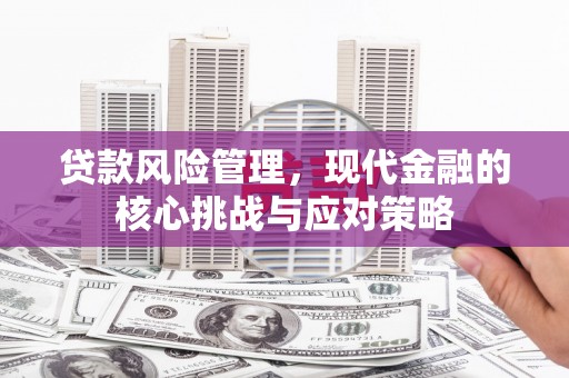 泰山贷款风险管理，现代金融的核心挑战与应对策略