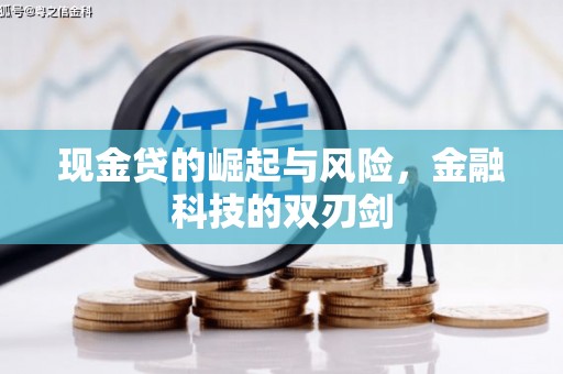泰山现金贷的崛起与风险，金融科技的双刃剑