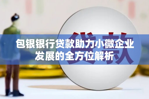 泰山包银银行贷款助力小微企业发展的全方位解析