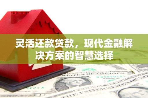 泰山灵活还款贷款，现代金融解决方案的智慧选择