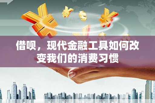 泰山借呗，现代金融工具如何改变我们的消费习惯