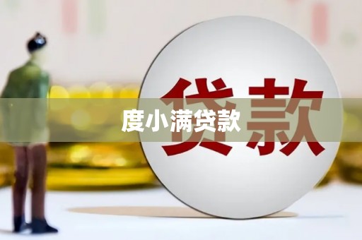 泰山度小满贷款