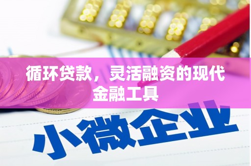 泰山循环贷款，灵活融资的现代金融工具