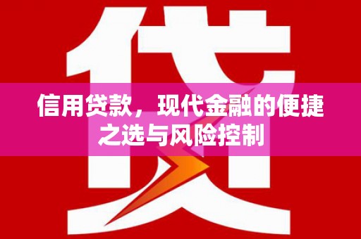 泰山信用贷款，现代金融的便捷之选与风险控制